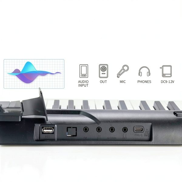 Weighted Digital Piano 88 Keys Black Model 883-1